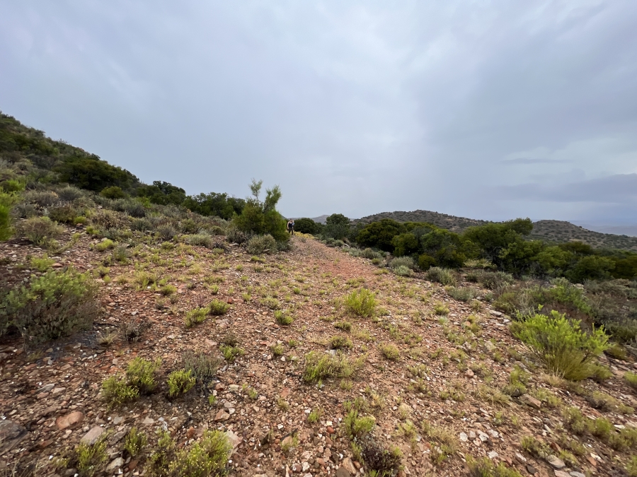 0 Bedroom Property for Sale in Ladismith Western Cape